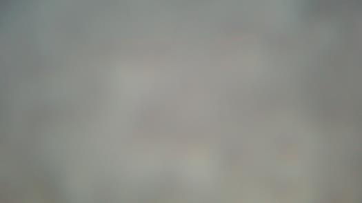 Weather camera view of Forest Lawn Beach.