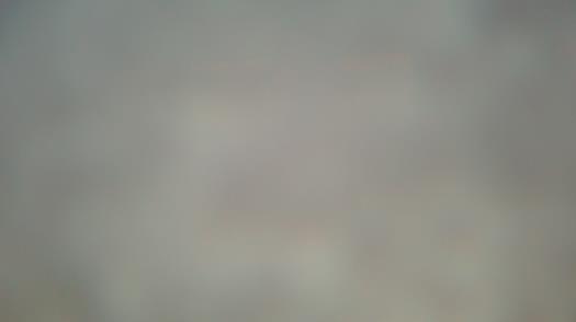 Weather camera view of Forest Lawn Beach.