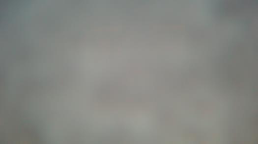 Weather camera view of Forest Lawn Beach.