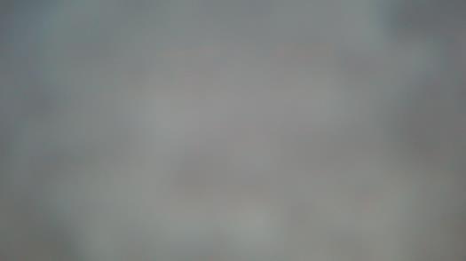 Weather camera view of Forest Lawn Beach.