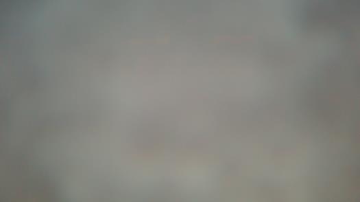 Weather camera view of Forest Lawn Beach.