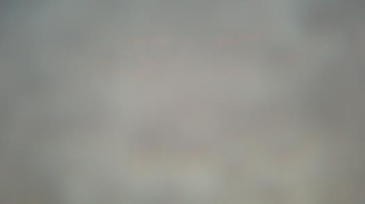 Weather camera view of Forest Lawn Beach.