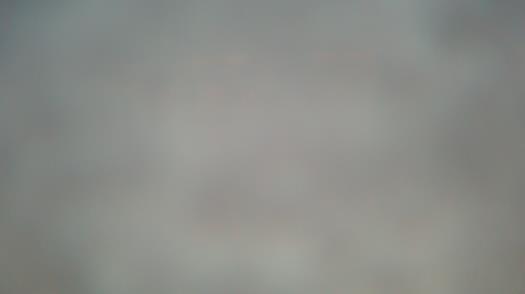 Weather camera view of Forest Lawn Beach.