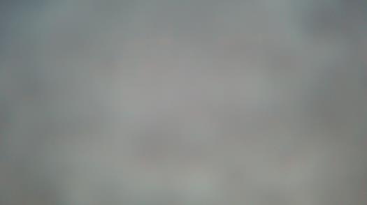 Weather camera view of Forest Lawn Beach.