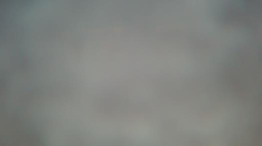 Weather camera view of Forest Lawn Beach.