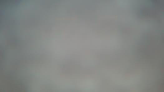 Weather camera view of Forest Lawn Beach.