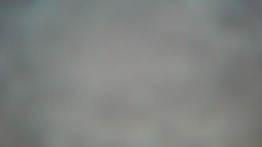 Weather camera view of Forest Lawn Beach.