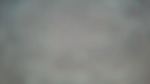 Weather camera view of Forest Lawn Beach.