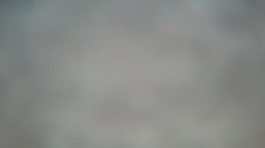 Weather camera view of Forest Lawn Beach.