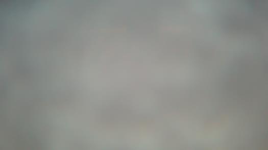 Weather camera view of Forest Lawn Beach.