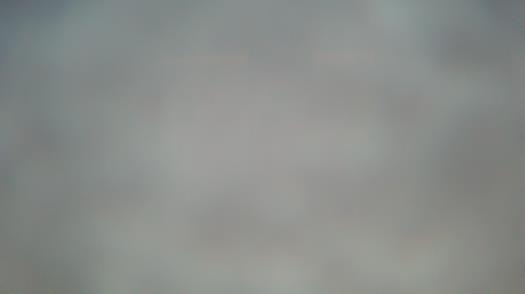 Weather camera view of Forest Lawn Beach.