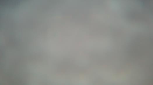 Weather camera view of Forest Lawn Beach.