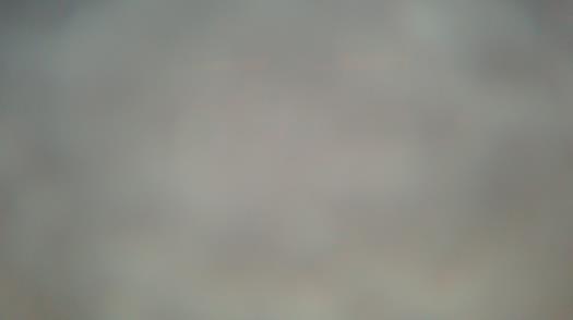 Weather camera view of Forest Lawn Beach.