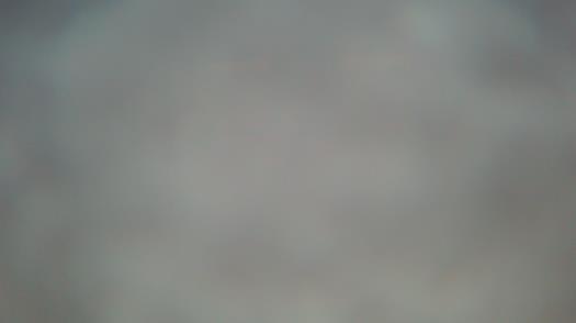 Weather camera view of Forest Lawn Beach.