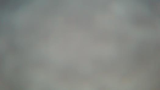 Weather camera view of Forest Lawn Beach.