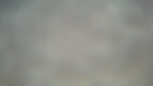 Weather camera view of Forest Lawn Beach.