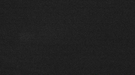 Weather camera view of Forest Lawn Beach.