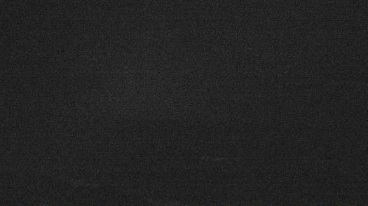 Weather camera view of Forest Lawn Beach.