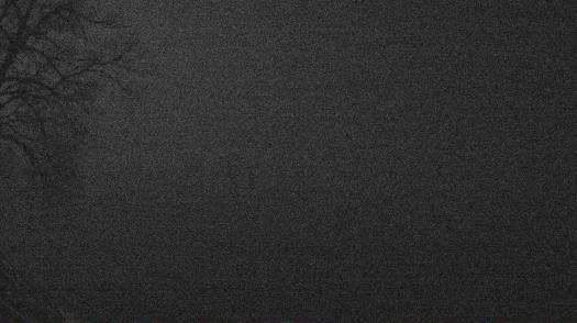 Weather camera view of Forest Lawn Beach.