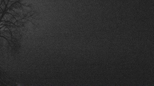 Weather camera view of Forest Lawn Beach.