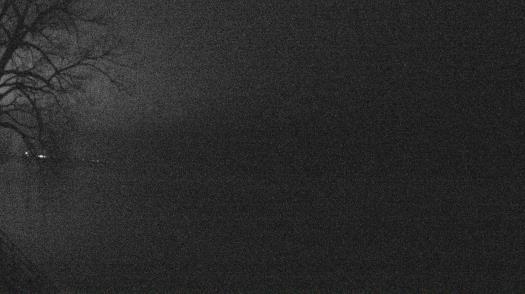 Weather camera view of Forest Lawn Beach.