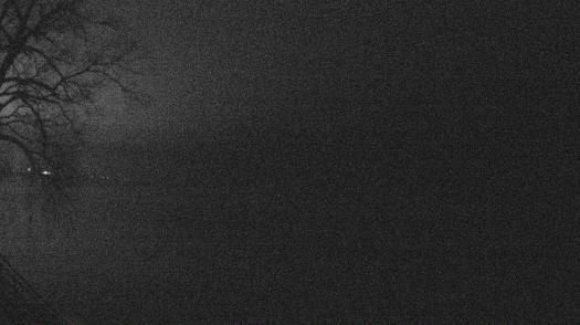 Weather camera view of Forest Lawn Beach.