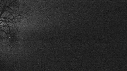 Weather camera view of Forest Lawn Beach.