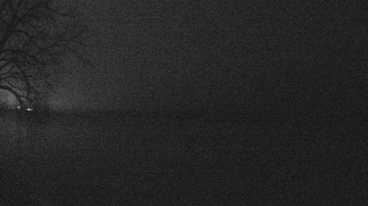 Weather camera view of Forest Lawn Beach.