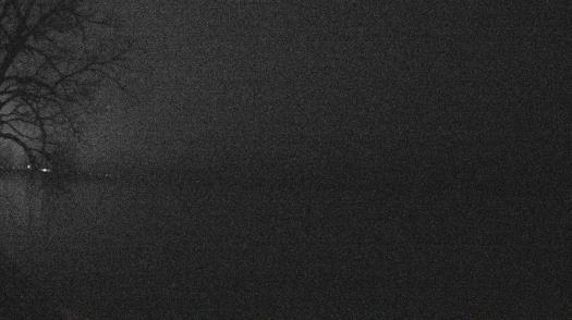 Weather camera view of Forest Lawn Beach.