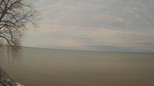 Weather camera view of Forest Lawn Beach.