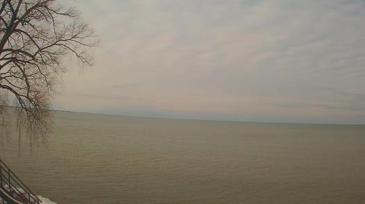 Weather camera view of Forest Lawn Beach.