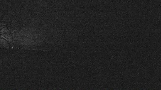 Weather camera view of Forest Lawn Beach.