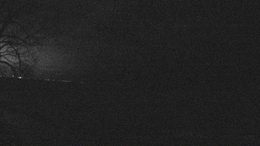 Weather camera view of Forest Lawn Beach.