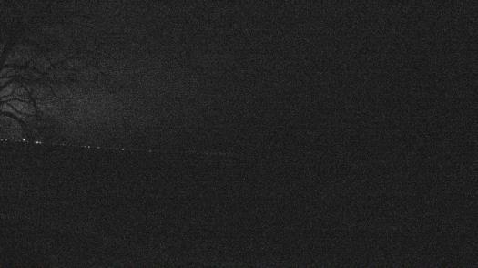 Weather camera view of Forest Lawn Beach.