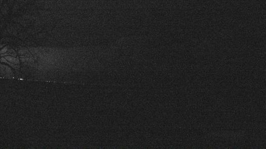 Weather camera view of Forest Lawn Beach.