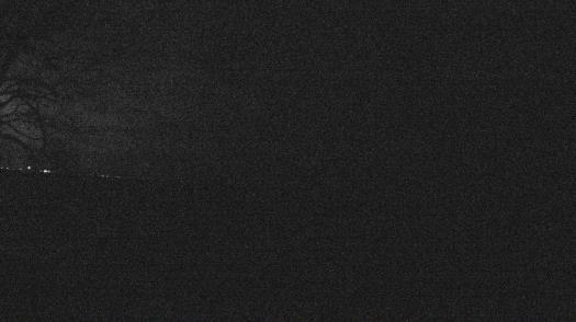 Weather camera view of Forest Lawn Beach.