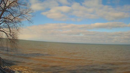 Weather camera view of Forest Lawn Beach.