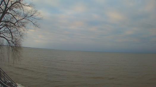 Weather camera view of Forest Lawn Beach.