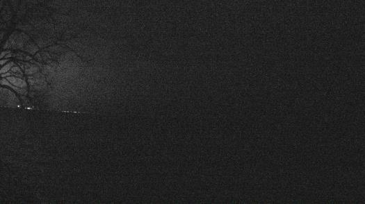 Weather camera view of Forest Lawn Beach.