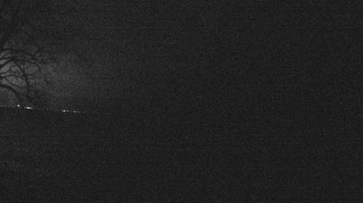 Weather camera view of Forest Lawn Beach.