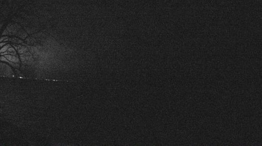 Weather camera view of Forest Lawn Beach.