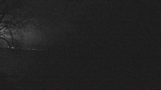 Weather camera view of Forest Lawn Beach.