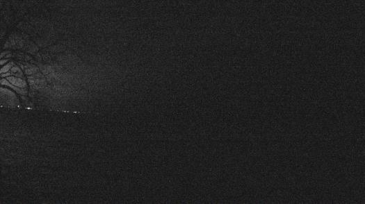 Weather camera view of Forest Lawn Beach.