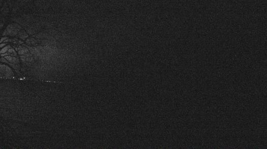 Weather camera view of Forest Lawn Beach.