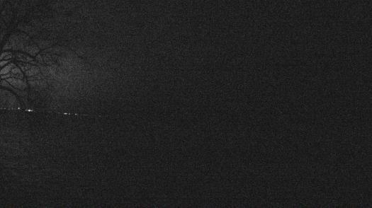 Weather camera view of Forest Lawn Beach.