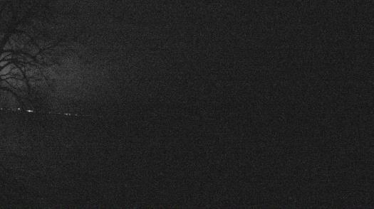 Weather camera view of Forest Lawn Beach.