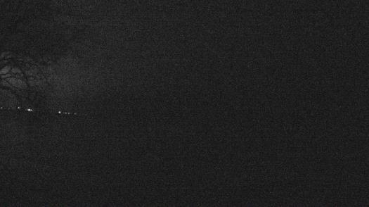 Weather camera view of Forest Lawn Beach.