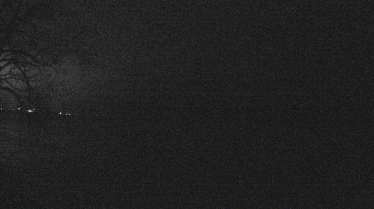 Weather camera view of Forest Lawn Beach.