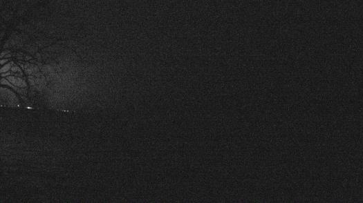 Weather camera view of Forest Lawn Beach.