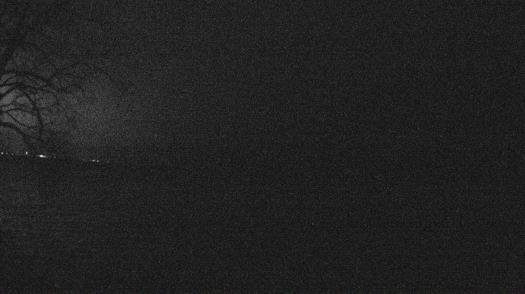 Weather camera view of Forest Lawn Beach.